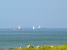 Landwinning Maasvlakte 2